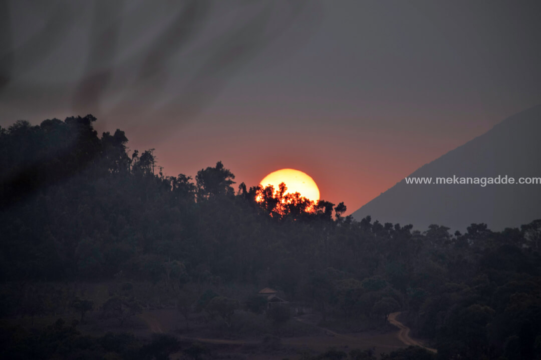 Sunset at Mekanagadde